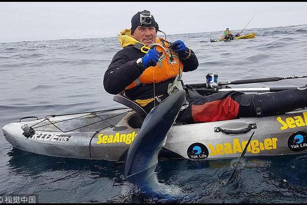钴：刚果（金）配额!已;出，重视钴短中期逻辑强化