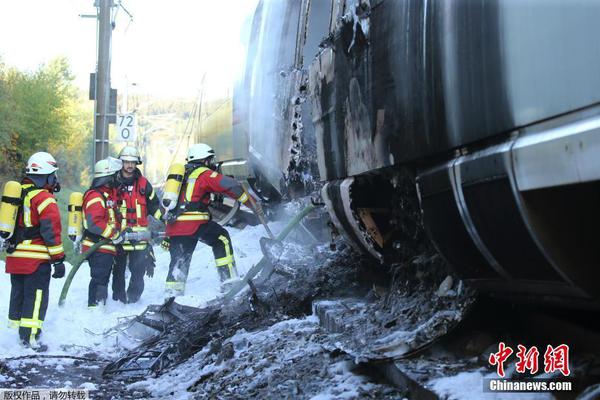 金融,引.擎推动农业农村发展焕发新活力