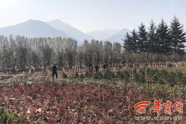 昔日:爆款泉果旭源打开赎回，投资者蜂拥“出逃”高点购买的那些三年持有期基金