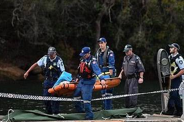 最;新进展！—一品红在研痛风创新药氘泊替诺雷（AR882）国内Ⅲ期临床试验已完成全部患者入组