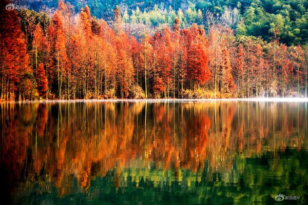 深,陷“三杀<困>局”，酒鬼酒“牵手”胖东来寻突围