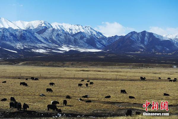 H—arbinger融资1.6亿美元，将为联邦快递生产卡车