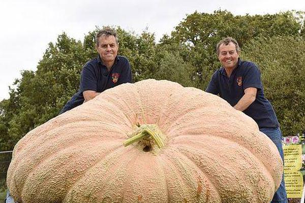 M—SCI中国指数调整 A股入17出16 外资持续看好中国创新企业前景