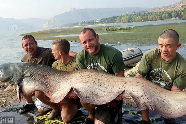 V:LEC+LNG船！江南造船两船同日命名