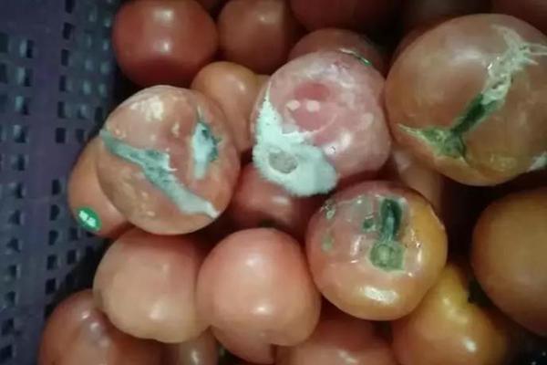 高乐股份拟易主 实.控人将变更为“90后”AI创业者