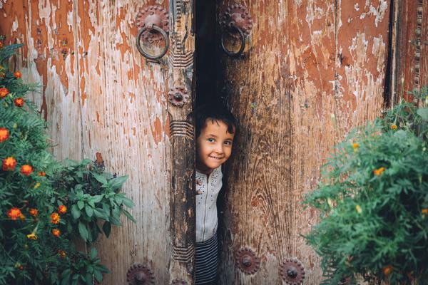 大,美丽法案能否为可选消费带来双击拐点？