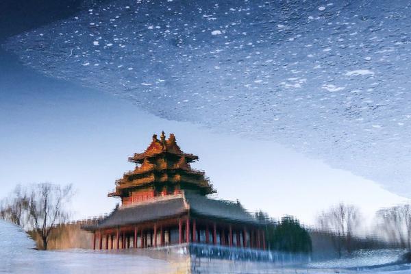 “83:1”巨变即将到来：存量保单成稀缺资产 分红险将成主流产品