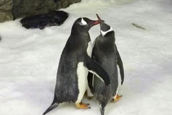 【国金电子】行业周报<：>重点关注三季度业绩有望超预期方向