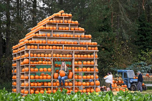 新规实施4个月，.仅2家银行理财网下打新！什么情况？