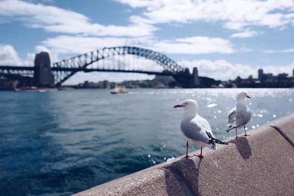 华发股份,(600325)6月30日股东户数5.56万户，较上期增加2.09%