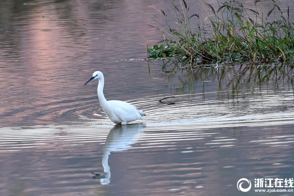 恒大退市，阵痛未止.