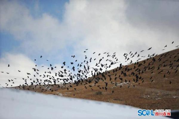 青松建化上半年净利润1.1亿元，同比减少48.98%