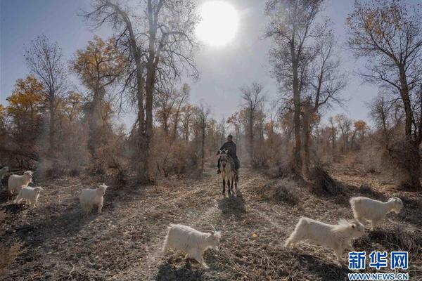 图—解机器人<中>报：第二季度单季净利润同比下降110.49%