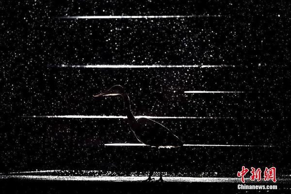 工商银‘行’三年<期>大额存单起售门槛提至100万元 行业门槛20万