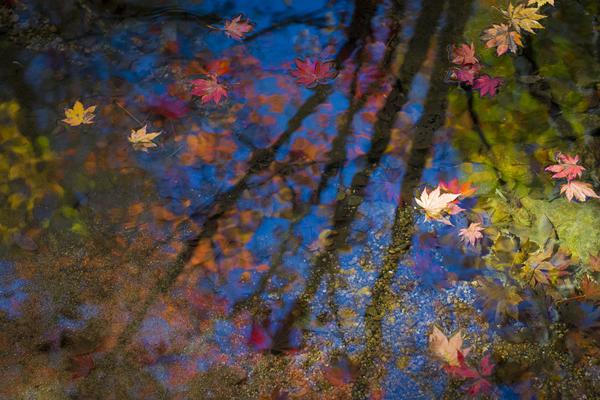 小米.集团-W(更新)：预计11月18日公布三季报，Q3一致预期营收1073~1220亿元