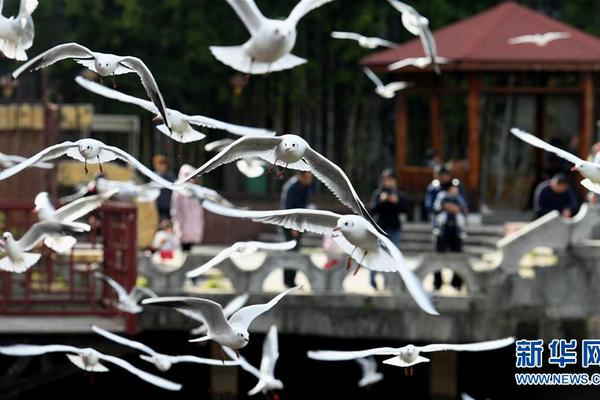 乌克兰秘密部署美制巨:型电池，应对新一轮俄军冬季能源战