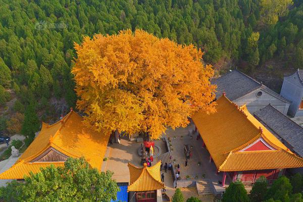 买黄金要交税了,？