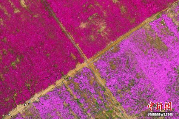 国机汽车—：公司与特斯拉建立了良好的合作关系，为其提供汽车工程系统服务