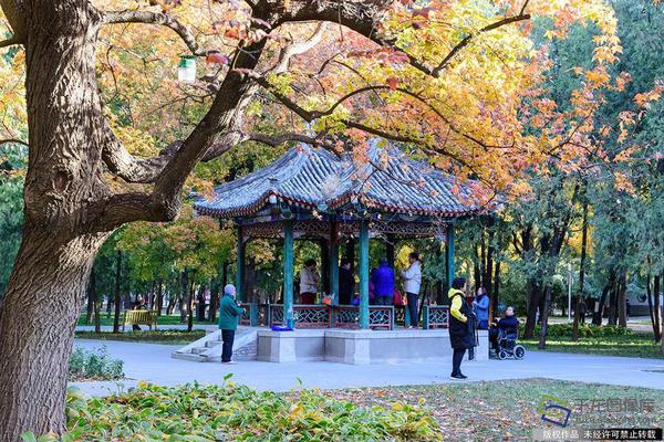 投资:者担忧特朗:普政府的英特尔交易开启美国产业政策新时代