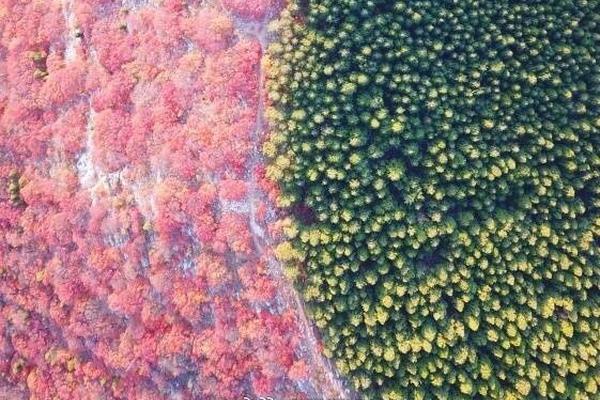 中国.银行雄安启园支行获‘批’成立