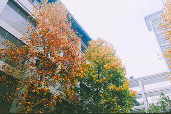 邦达亚‘洲’:<美>联储降息预期升温 英镑小幅收涨