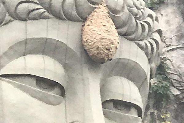 新:质数字拟折让约16.67%配股 最多净筹约2930万港元