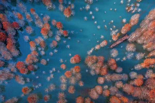 亏损247‘亿’ vs 盈利190亿：2025光伏企业半年报背后的行业撕裂！