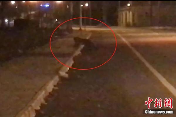 申联生物,：截至‘2’025年9月30日，公司普通股股东总数为12388户