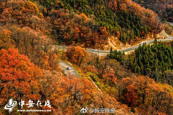 低!温技术竟是绿色发展的“隐藏彩蛋”？