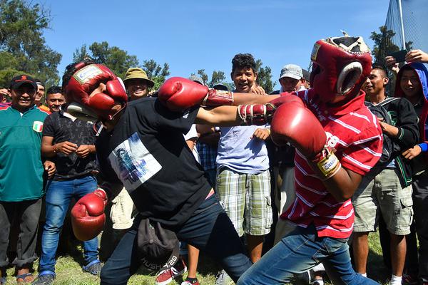 盘前‘：’纳指期货跌1.28% “大空头”做空英伟达