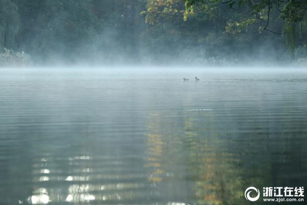 别只盯着芯片：:中美人工智能竞赛的下一个战场是核能
