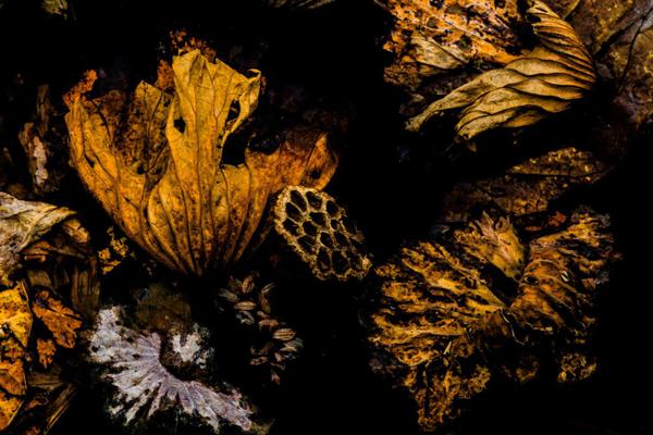 紫;光股份：目前公司不存在应披露而未披露的重大事项