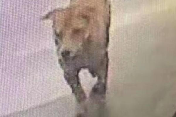 长:城基金?汪立：总量平淡期，关注产业新变化