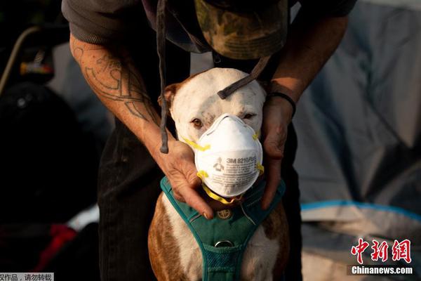 高盛将英.伟达与台积电列入首选AI概念股清单