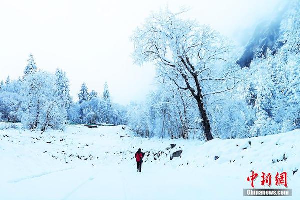 大理某银行‘员’工杨某涉嫌诈骗被侦办 警方呼吁资金出借人报案