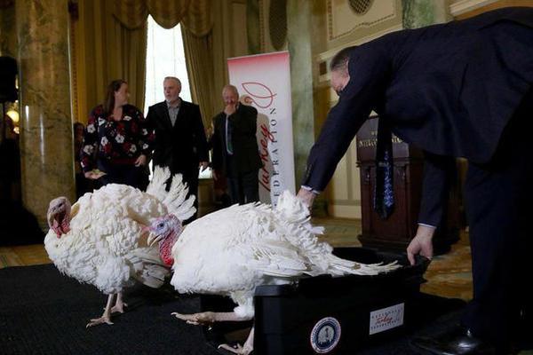 证券维权<迎>来“丰收季”，沪紫律所股票维权连战连捷，速看索赔名单！