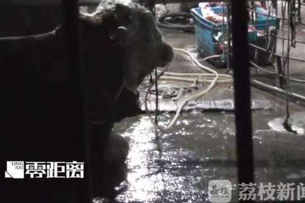 国潮;服饰“黄金周”旺销 纺织服装板块涨幅领先