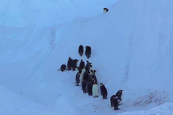 达利欧家‘族’办公室聘请摩根大通老将担任副CEO