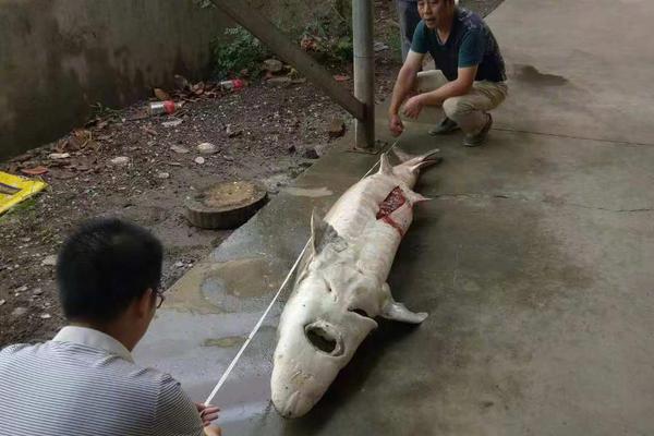 中,国中车自主研制首台兆瓦级PEM制氢系统实现满功率运行