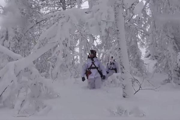 英央!行;鹰派代表格林再“放鹰”：劳动力市场需进一步疲软才支持降息