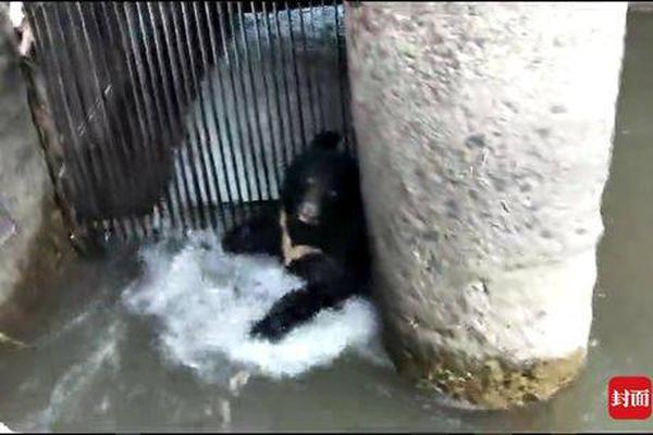 烽火!通信：第三季度归母净利润2.26亿元，同比增长28.14%