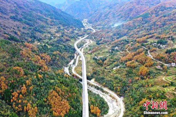 嘉实转战广—发首.年交卷：苏文杰在管规模直逼60亿，旗下四基金齐涨，广发优势成长近三月涨17%