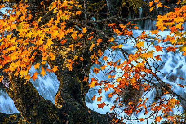 臻镭,科技：2025年前三季度归属于上市公司股东的净利润同比增长598.09%