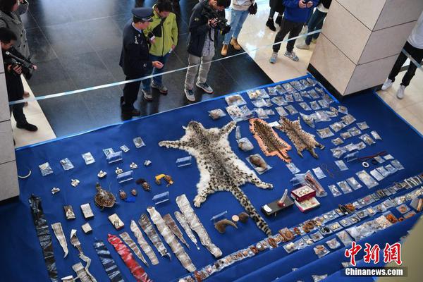 信邦‘智’能：截至2025年9月19日在册股东9,223户