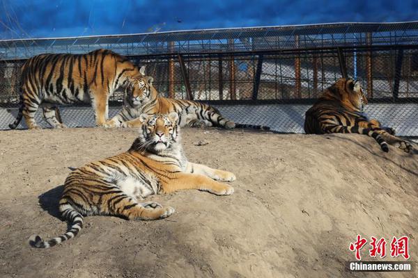 健康险内部结构:生变 健康管理赛道悄然升温