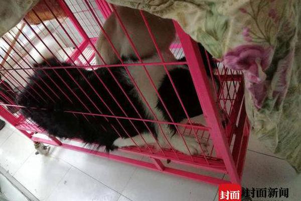 洁—美科技;控股子公司拟收购江西鸿美100%股权 交易价2628万元