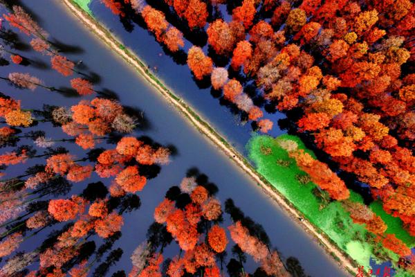 奥浦迈;占总3<1>.83%首发限售股即将解禁 相关股东表示愿意长期持有