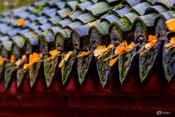 世!纪反:转：「安卓爹」谷歌成 iPhone「大脑供应商」？曝苹果每年掏70亿换定制Gemini，明年上线新Siri