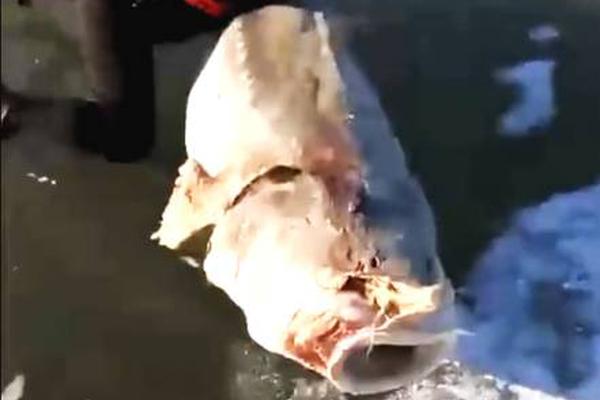 中—欧.瑞博及中欧瑞博(香港)捐资100万人民币驰援香港火灾救援工作