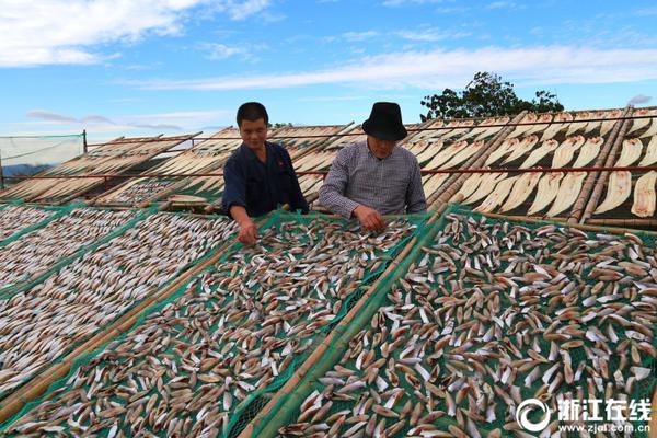 良<信>股份：公司海外销售情况参见公司2024年年度报告及2025年半年度报告披露数据